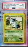 Giovanni'S Nidoran