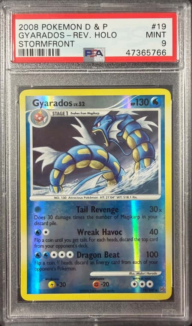 Gyarados