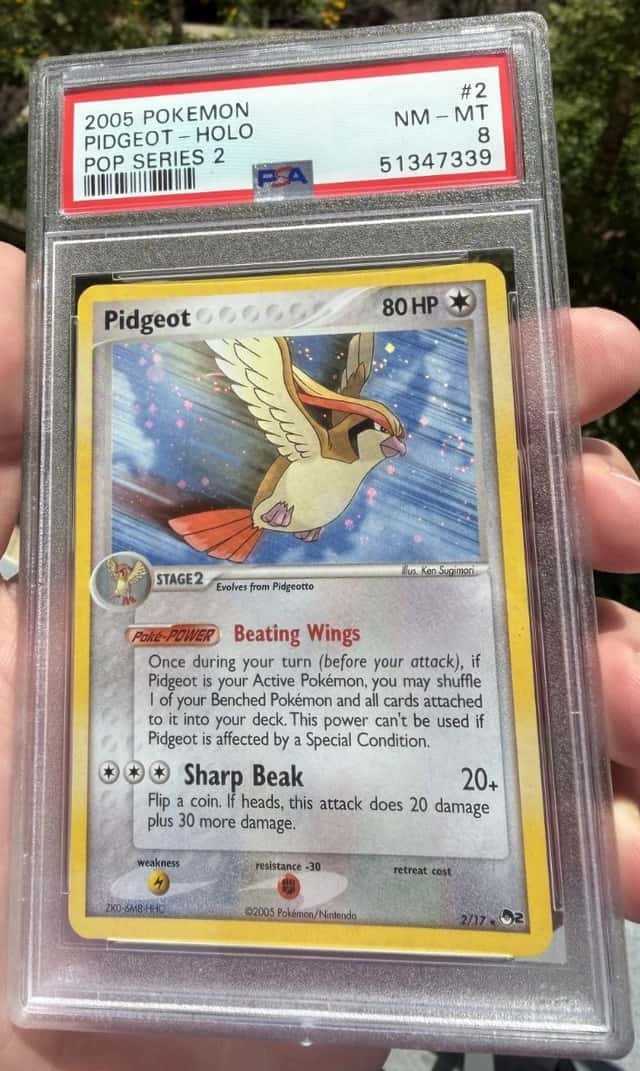 Pidgeot