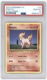 Ponyta