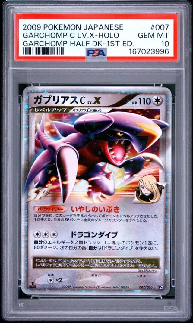 GARCHOMP C LV.X