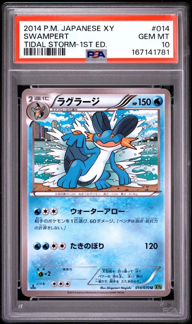 Swampert