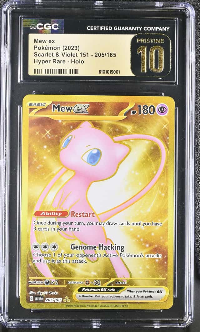 MEW ex