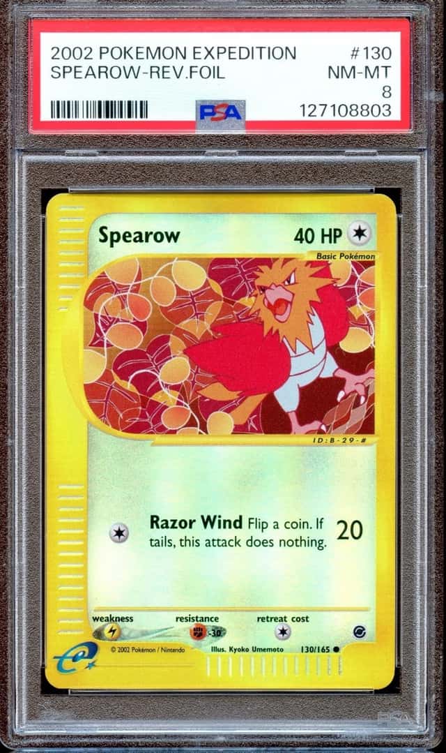 Spearow