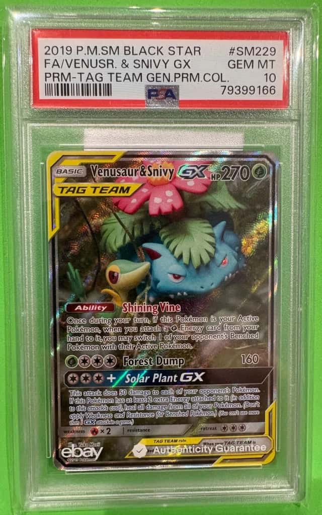 Venusaur & Snivy GX