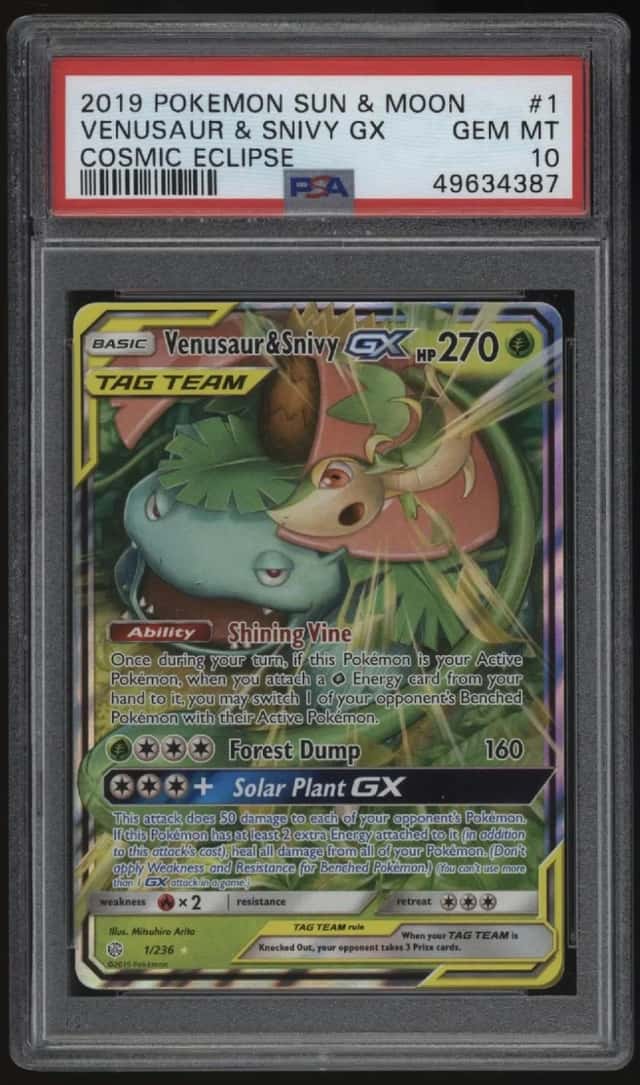Venusaur & Snivy GX
