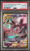 Mewtwo & Mew Gx