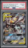 Pikachu & Zekrom Gx