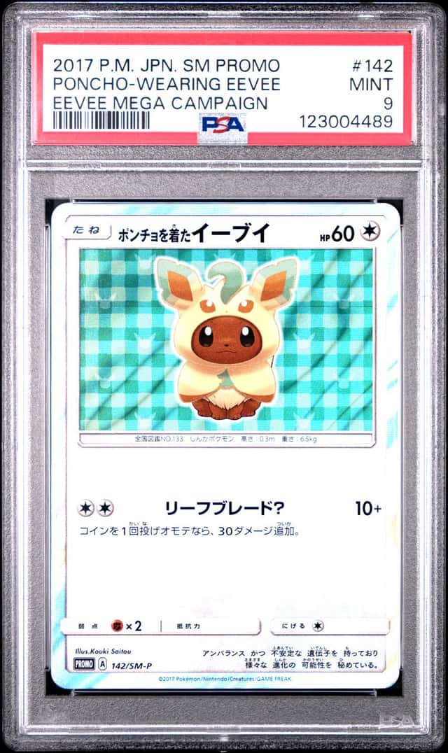 Poncho-Wearing Eevee
