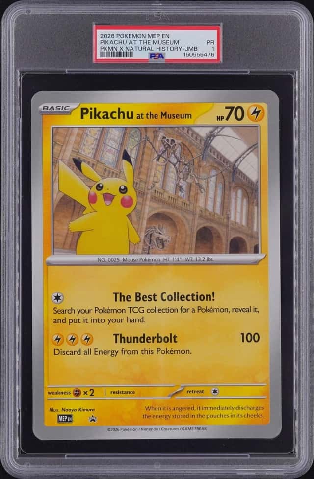 Pikachu At The Museum