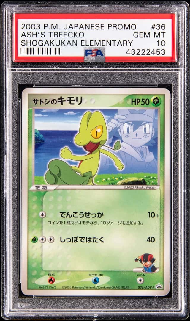 Ash's Treecko
