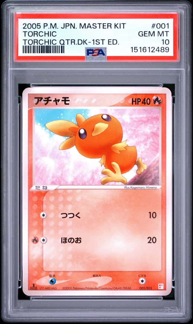 Torchic