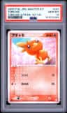 Torchic