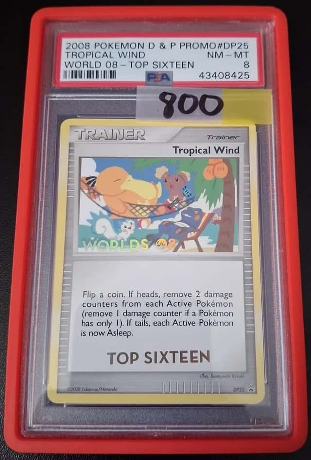 Tropical Wind