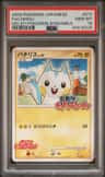 Pachirisu