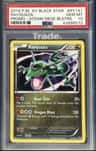 Rayquaza