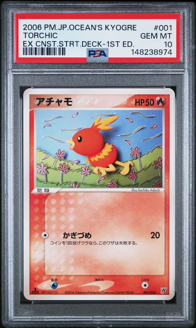 Torchic