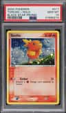 Torchic