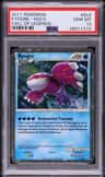 Kyogre