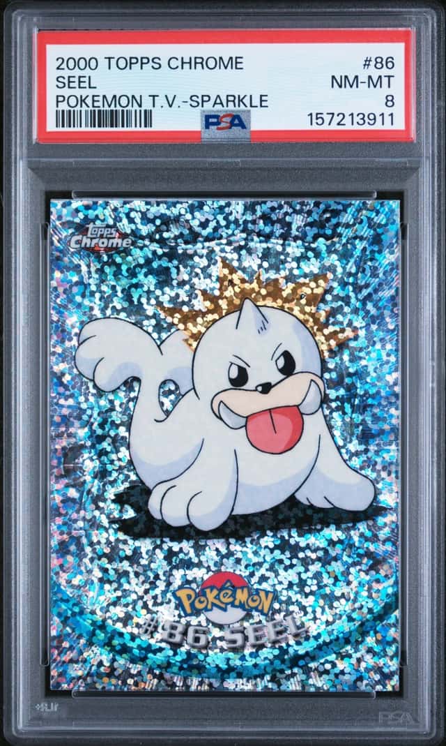 Seel