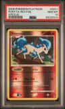 Ponyta