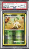 Leafeon