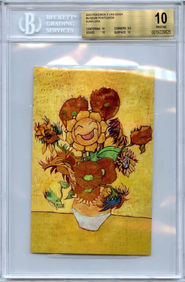 Sunflora