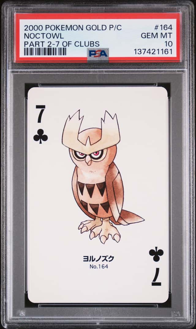Noctowl