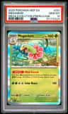 Meganium