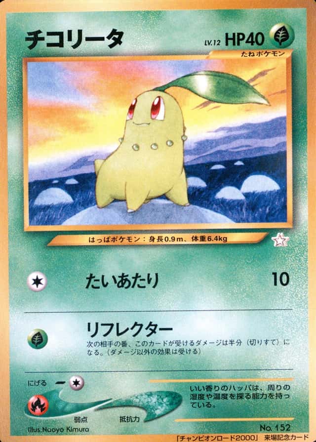 Champion Road 2000