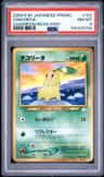 Chikorita