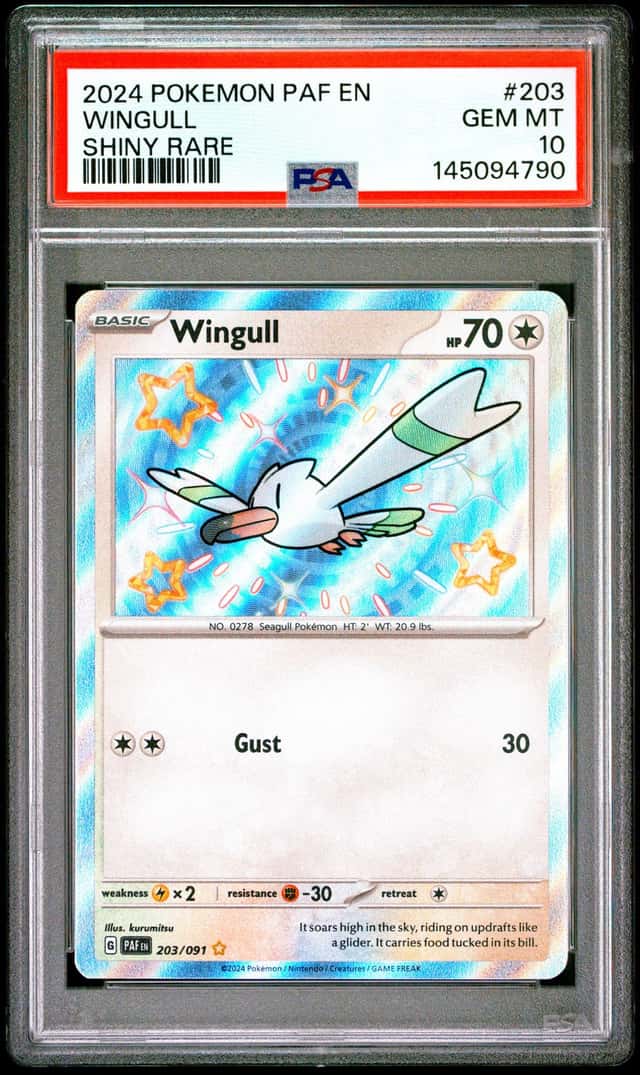 Wingull