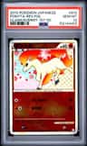 Ponyta