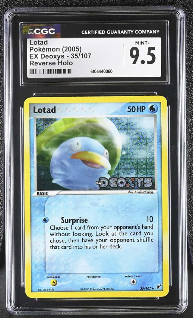 Lotad