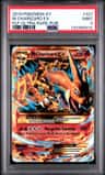 M Charizard Ex