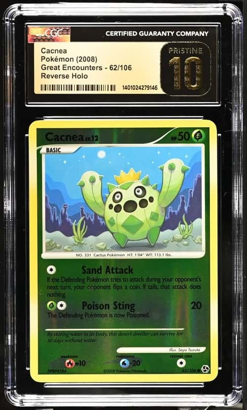 Cacnea