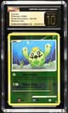 Cacnea