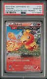 Torchic