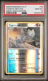 Togetic