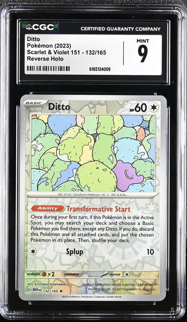 Ditto