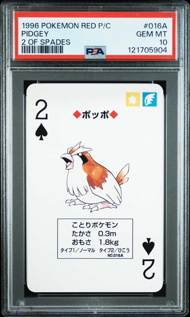 Pidgey