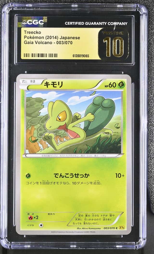 Treecko