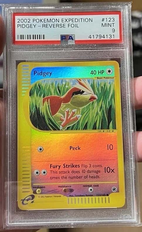 Pidgey