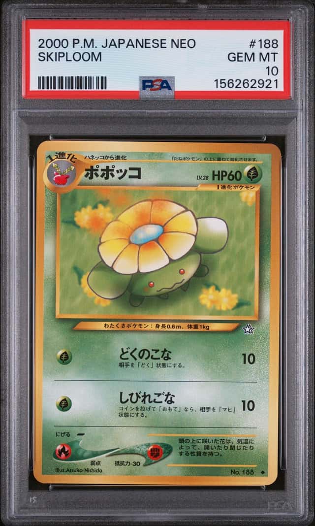 Skiploom
