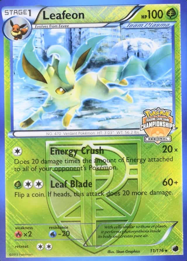 Holo · Champs Euro L Reg