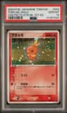 Torchic