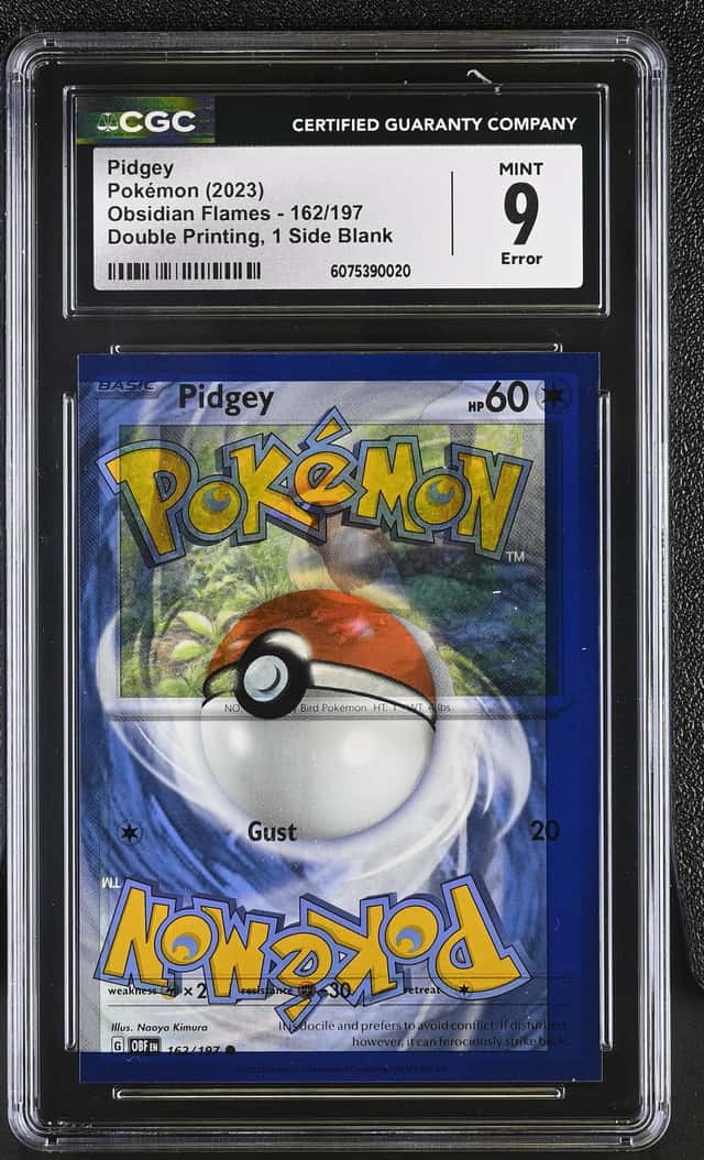 Pidgey