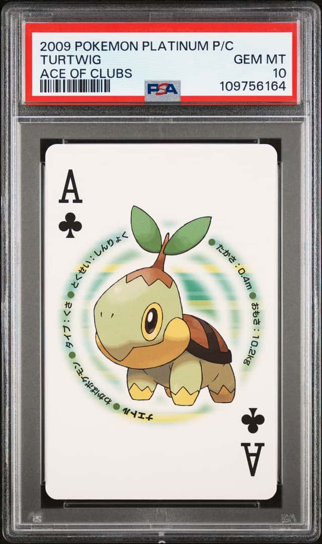 Turtwig
