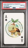 Turtwig