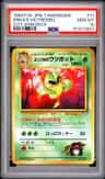 Erika'S Victreebel